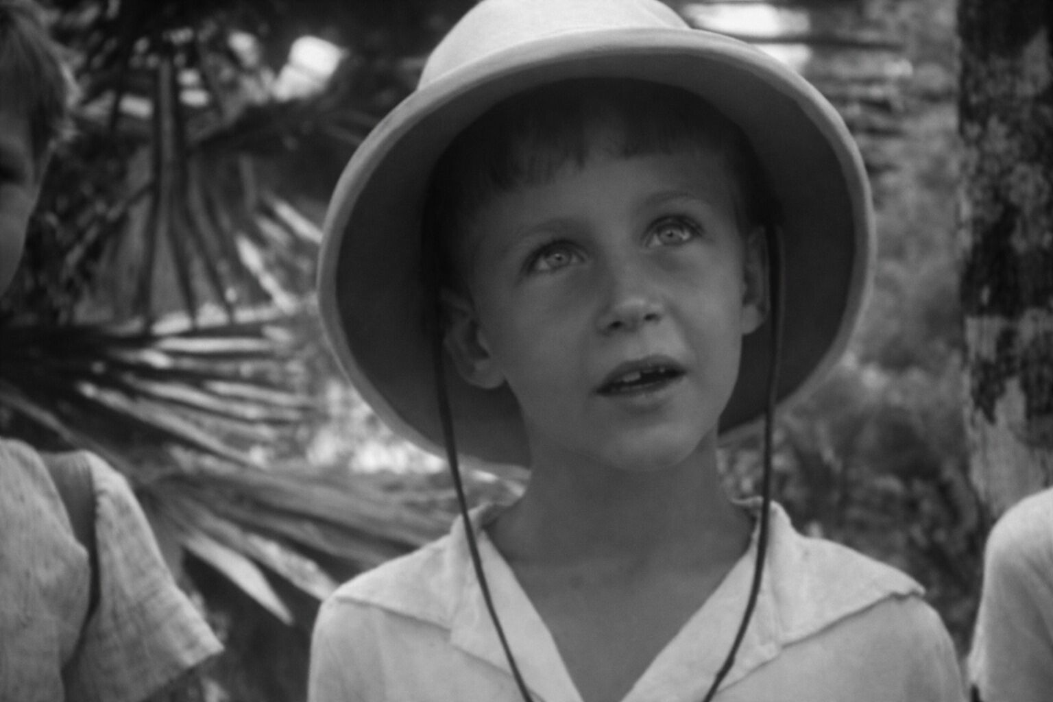 De Indische tafel, jongens van de Japanse kampen