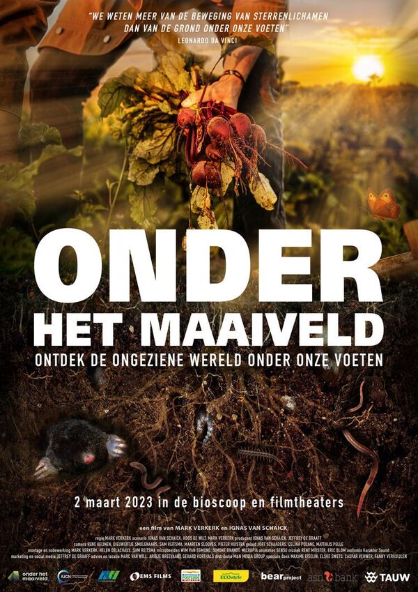 Onder het Maaiveld: met nagesprek