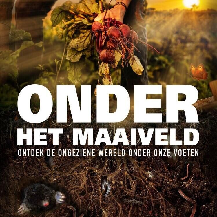 Onder het Maaiveld: met nagesprek 