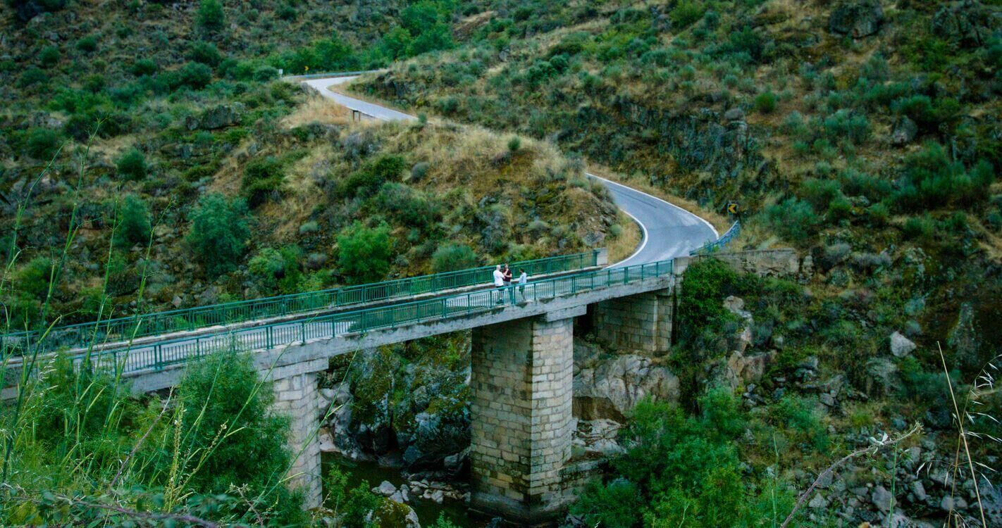 Paved Paradise