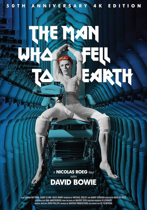 The Man Who Fell to Earth