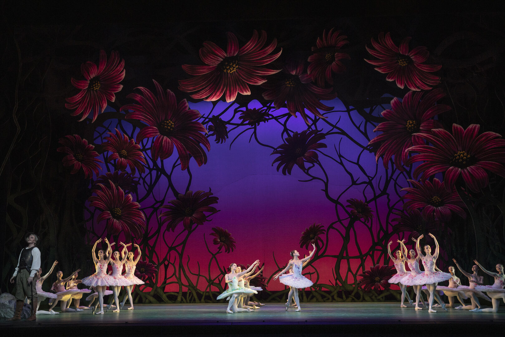 The Royal Ballet: Don Quichot