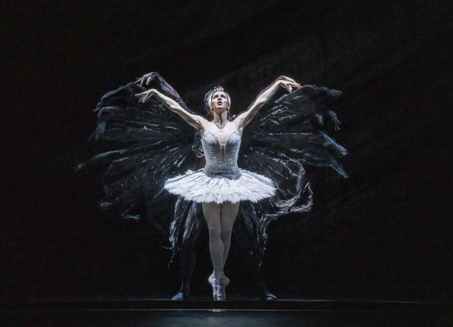 The Royal Ballet: Het Zwanenmeer