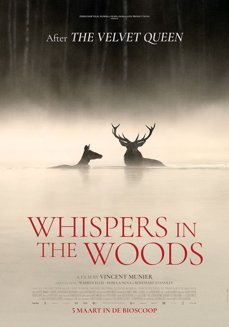 Whispers in the Woods