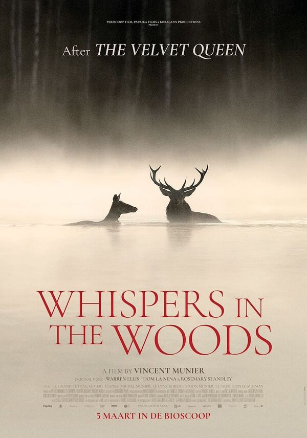 Whispers in the Woods